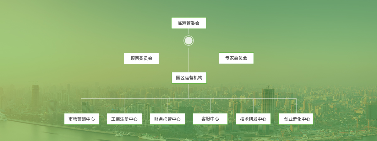 组织结构